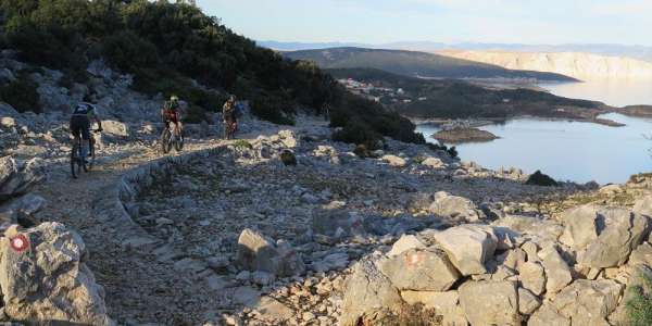 Mountain bike and electric bike rental