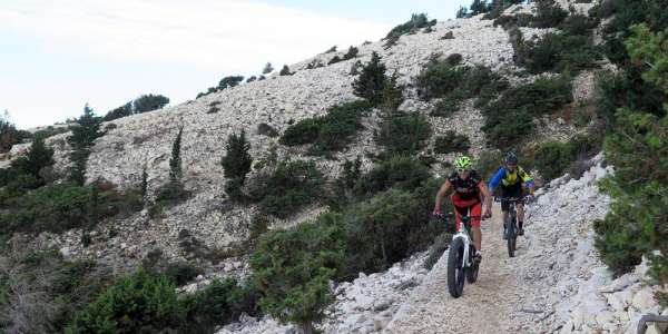 Noleggio mountain bike e bici elettriche
