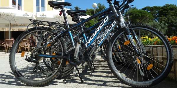 Mountain bike and electric bike rental