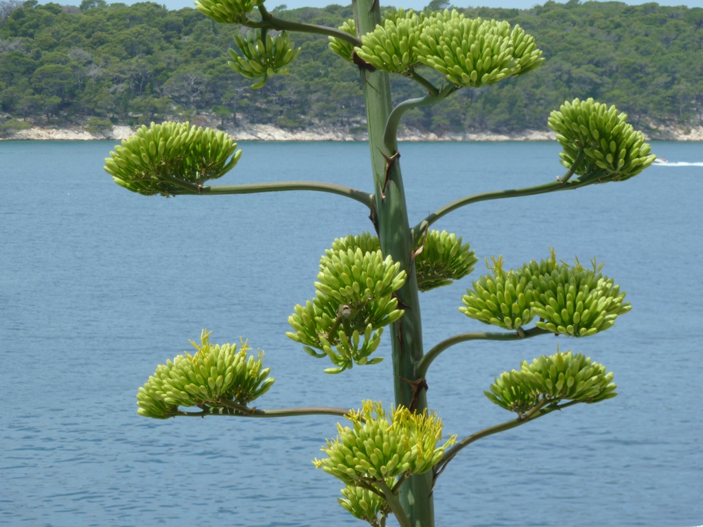 Otok Rab - Biser Jadrana